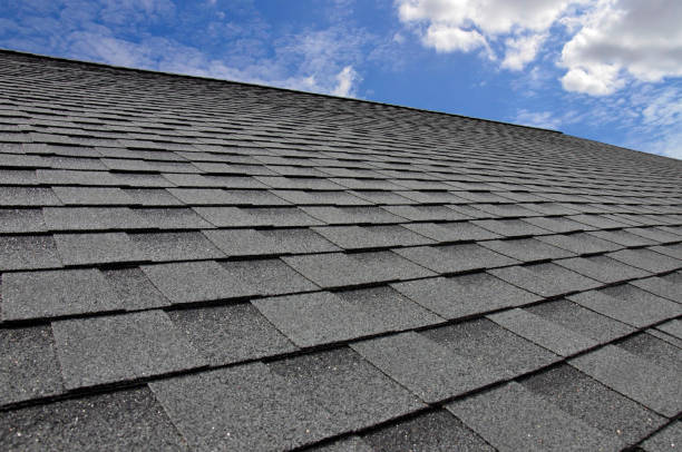 Best Roof Moss and Algae Removal  in Hurlock, MD